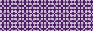 BIZH24-Patternbanner