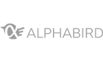 Alphabird_200x200_gr-1